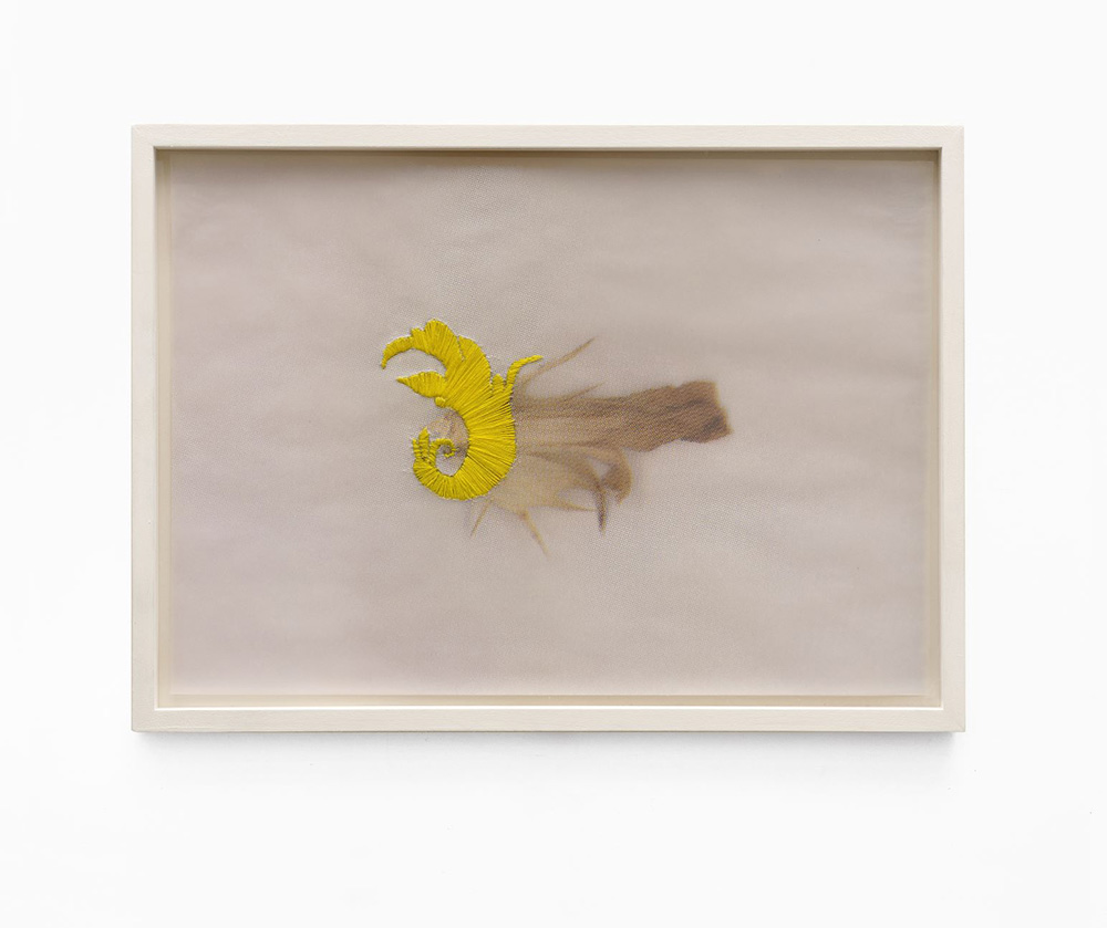 04_Siebdruck (Siebdruck mit Stickerei gelb) Elisaveta Braslavaskaja Plate III, 2020 CMYK Siebdruck auf Büttenpapier, Stickerei gelb 37,5 x 27 cm, gerahmt